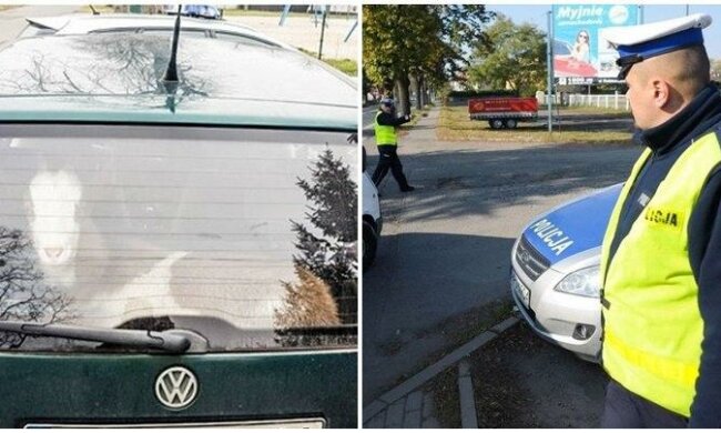 Do takiej kontroli nie dochodzi codziennie. Niesamowite odkrycie policjantów z lubuskiego