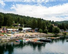 Niespodziewany gość na jednej z polskich plaż. Turyści nie mogli w to uwierzyć