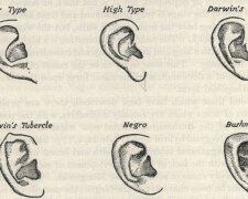 Dowiedz się, jaki jesteś w miłości na podstawie kształtu uszu!
