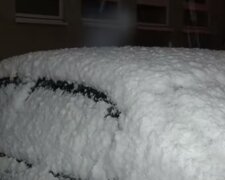 Opady śniegu/YouTube @TVP Info