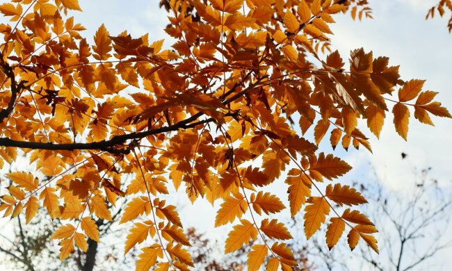 Zacznie się 30 października. Pogoda całkowicie się zmieni