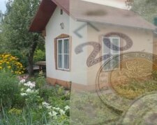 Ogródki działkowe/YouTube // Pieniądze/Pexels