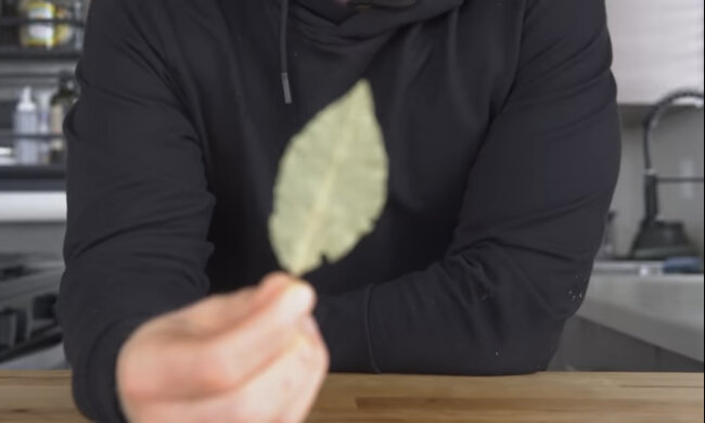 Lisc laurowy/YouTube