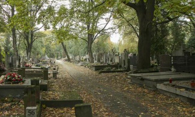 Skandaliczne zachowanie nastolatków na cmentarzu. Trzech nieletnich zatrzymała policja