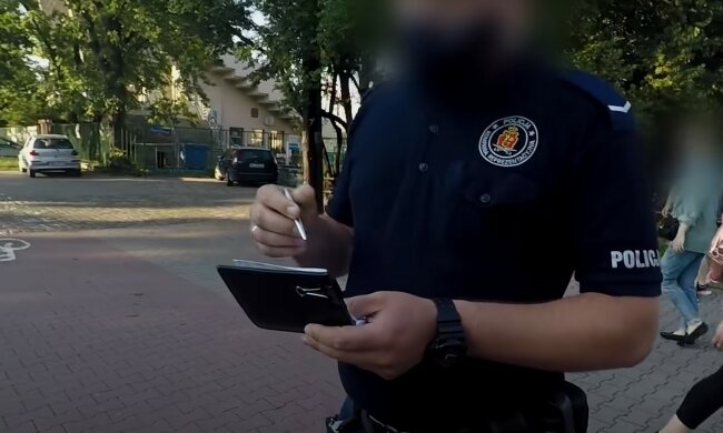 Screen: "policjanci popychają pieszego na chodniku"/Youtube  samochodoza
