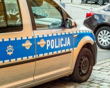 Nowe ustalenia w sprawie Danusi z Jeleniej Góry. Jakie decyzje zapadną wobec 12-latki