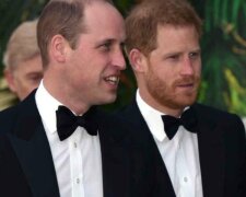 William, Harry/ https://www.radiozet.pl/