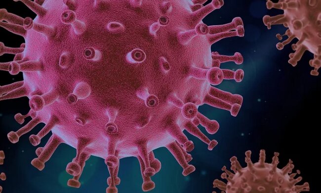 Niepokojące informacje o dwóch kolejnych ogniskach koronawirusa. Sanepid apeluje do osób uczestniczących we mszy w dwóch kościołach