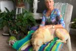 Kobieta z psem, źródło: YouTube/ WPTV News - FL Palm Beaches and Treasure Coast