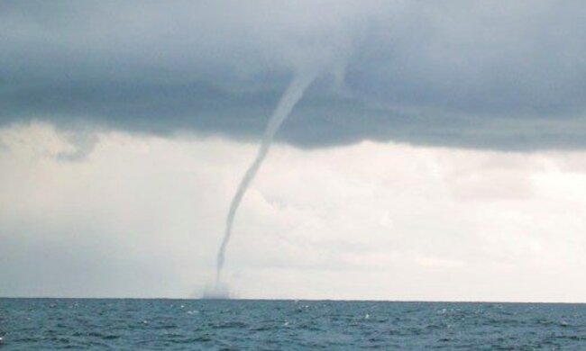 Niesamowite nagranie! / allatsea.net