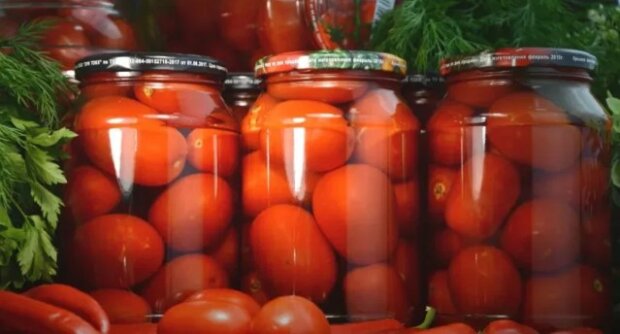 przepis na kiszone słodkie pomidory, screen Google