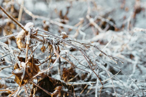 Sztab kryzysowy w gotowości. Zima komplikuje sytuację w Sylwestra