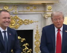 Donald Trump i Karol Nawrocki, screen Youtube @wp-pl