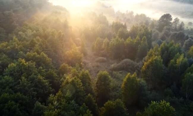 Las/YouTube @Soothing Relaxation