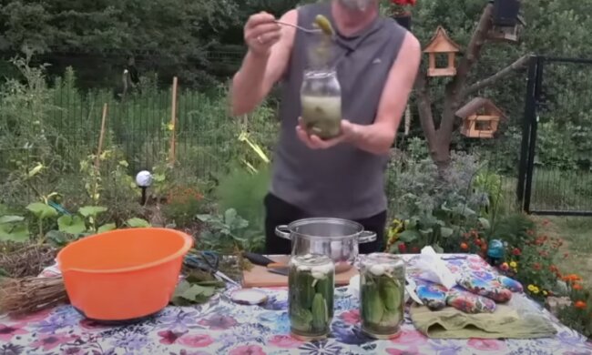 źródło: YouTube/Ogrodnictwo Intuicyjne - Permakultura TV