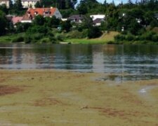 W jednej z polskich rzek złapano 2,5 metrowe stworzenie. Zdjęcia zapierają dech w piersiach