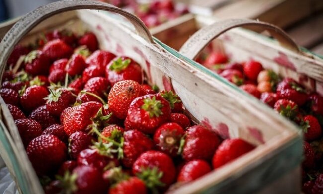 Truskawki. Źródło: gazetakrakowska.pl