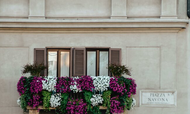 Zapomnij o petuniach. Ta roślina obsypuje balkon kwiatami aż do jesieni