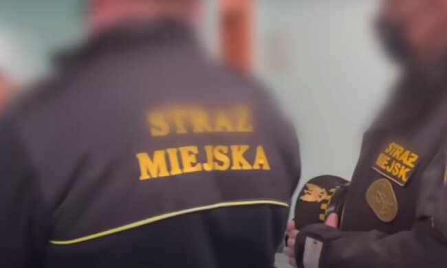 Straż miejska/YouTube @Tarnogorski