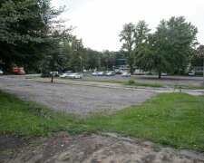 Kraków: ponad pół tysiąca bezpłatnych miejsc parkingowych w centrum miasta. Darmowy parking nie podoba się jednak radnym