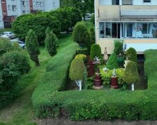 Ogród pod blokiem/YouTube @Pasjonaci