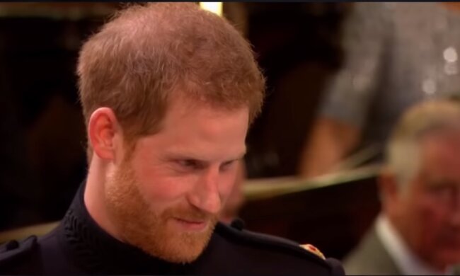 Książę Harry/YouTube @Dla Ciekawskich