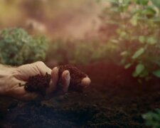 Gleba, źródło: YouTube/Ogrodnik z Odessy