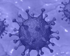 Ministerstwo Zdrowia aktualizuje dane dotyczące epidemii koronawirusa. Liczba chorych znów wzrosła. W jednym z województw duża liczba przypadków