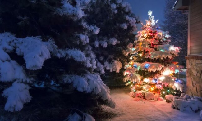 Tegoroczne święta mogą być zupełnie inne niż zwykle. Co planują rządzący