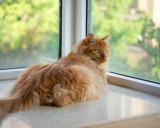 parapet @pexels
