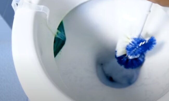 Czyszczenie toalety/YouTube @Projekt Natura