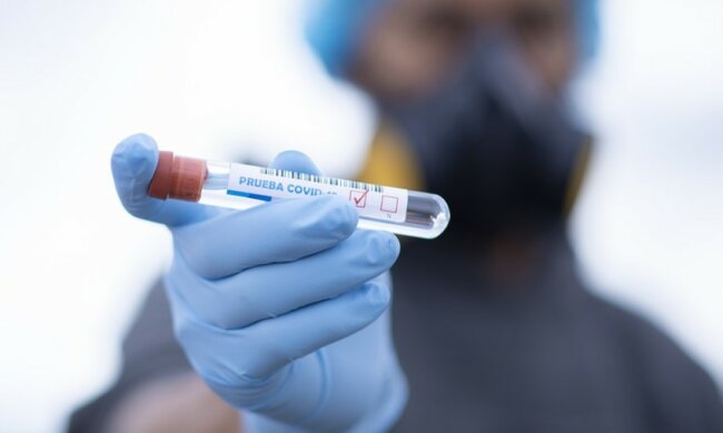 164 przypadki COVID-19 w zakłądzie mięsnym/screen Pixabay