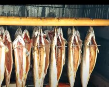 Wędzone ryby/YouTube @Kuchnia TomToma