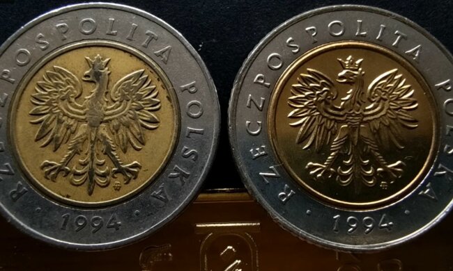 Takie monety są warte znacznie więcej, niż 5 złotych. Być może właśnie masz szansę na prawdziwą fortunę