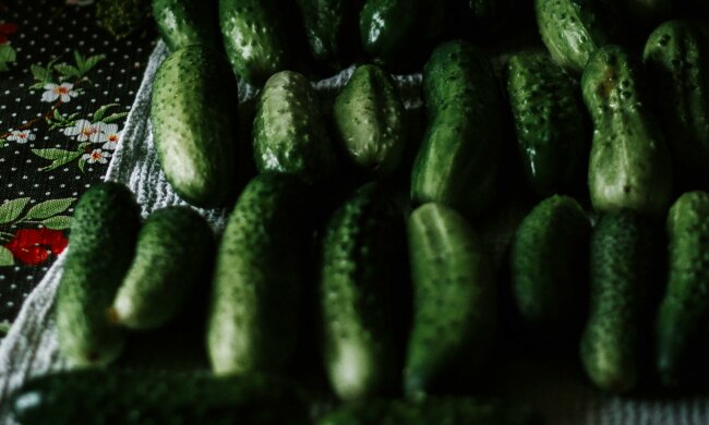 ogórki @pexels