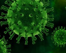 Małopolska: zaktualizowano dane dotyczące epidemii koronawirusa. Przybywa zakażonych