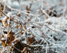 Sztab kryzysowy w gotowości. Zima komplikuje sytuację w Sylwestra