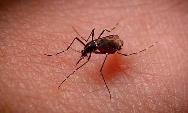 screen Youtube @znay_tv