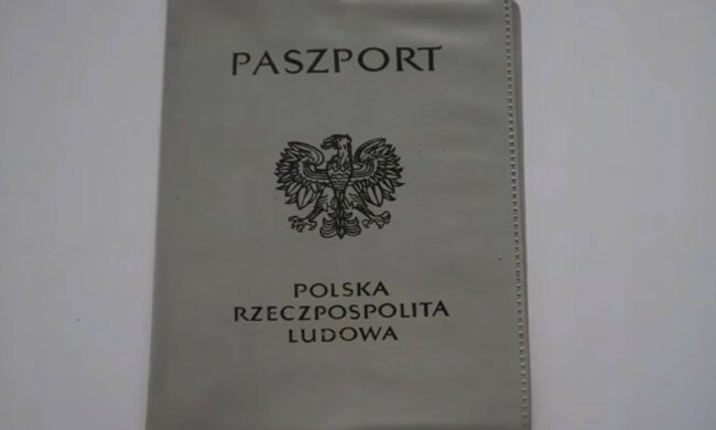 screen Youtube @fakty na wynos