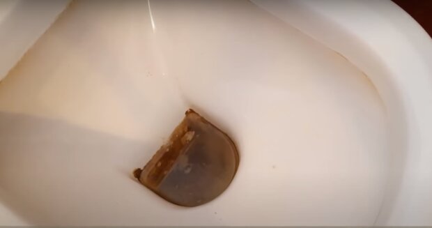 Czyszczenie toalety/YouTube @Take Look