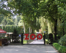 Kraków: Ogród Zoologiczny zaprasza zwiedzających. W lato będzie można zobaczyć tam ponad tysiąc zwierząt