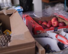 Gdańsk: wielki powrót programu wsparcia. Obcokrajowy otrzymają pomoc żywnościową z Banku Żywności w Trójmieście
