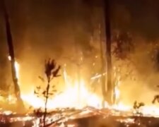 Pożary w Rosji/YouTube @NDNews Weather