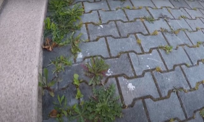 Czyszczenie kostki brukowej/YouTube @Dominik maluje