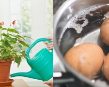 Pod żadnym pozorem nie wylewaj wody po gotowaniu jajek! Można ją wykorzystać w wyjątkowy sposób. Efekty są spektakularne
