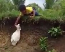 Dziecko i kaczka. Źródło: YouTube