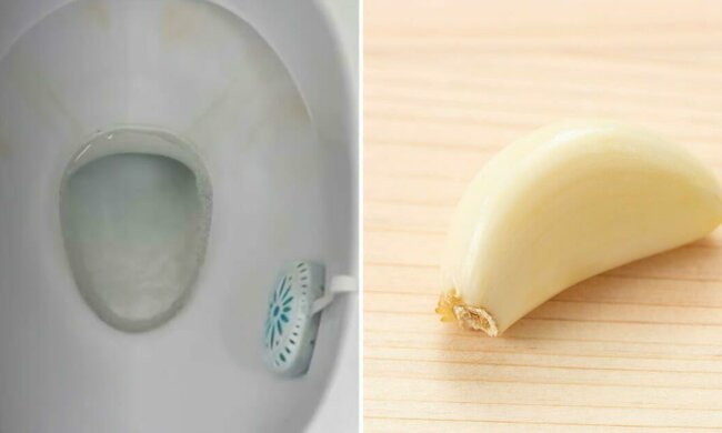 Czosnek ma niezwykłe właściwości. Źródło: newsner.com