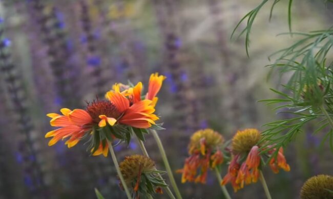 źródło: YouTube/Make Your Life Greener