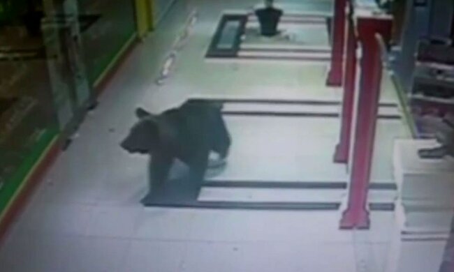 Nietypowy klient w sklepie