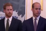 Harry, William / screen yt